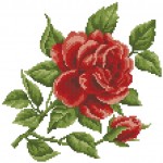 Троянда